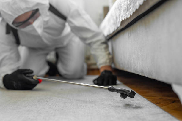 Professional Termite Control technician working in Maine, WI