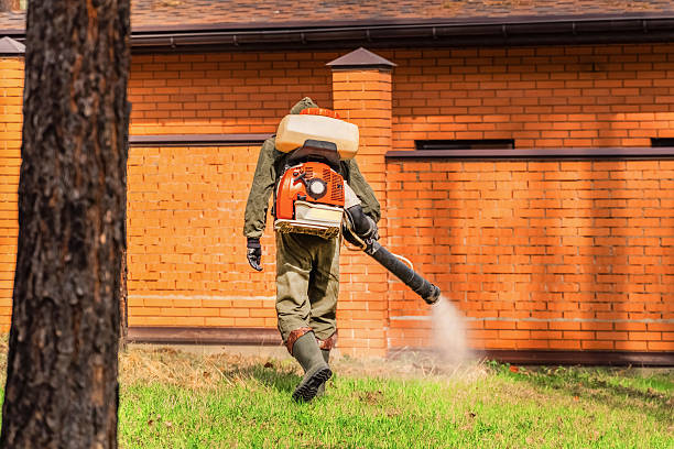 Trusted Rodent Control service in Maine, WI - Nex Pest Control